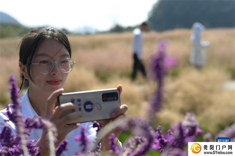 贵州百里杜鹃：拓展旅游业态 激活秋冬旅游