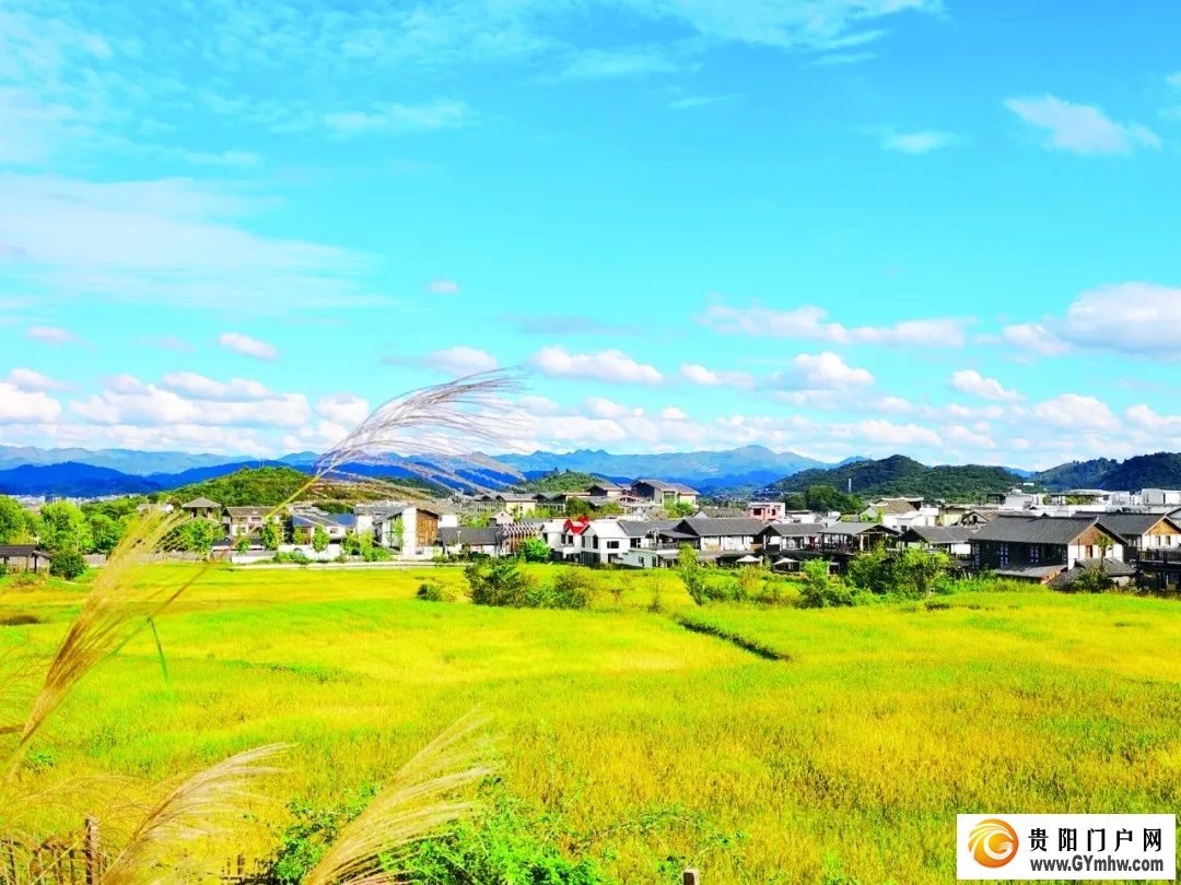 花溪：龙井村变样了(图1)