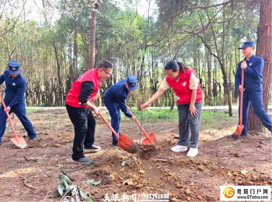 贵阳市白云区开展植树节志愿服务活动(图3)