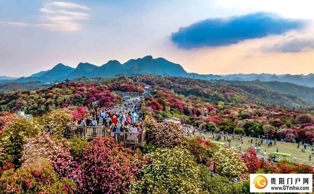 快出发！这些地方陆续美成仙境！