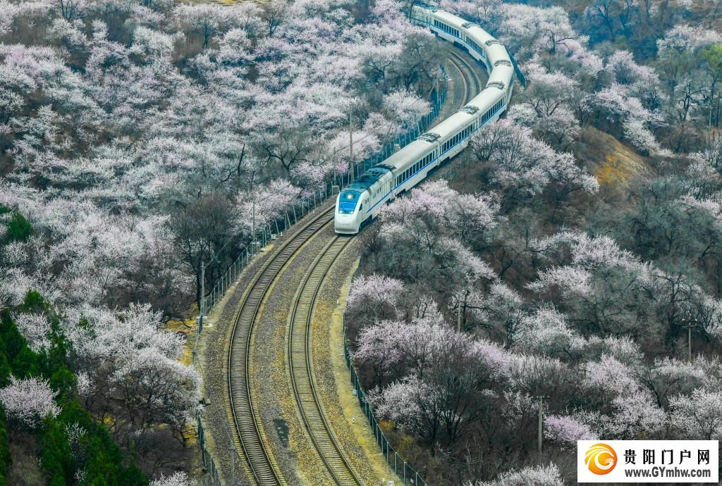 快出发！这些地方陆续美成仙境！(图10)