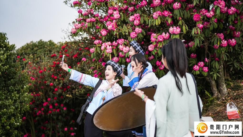 快出发！这些地方陆续美成仙境！(图8)