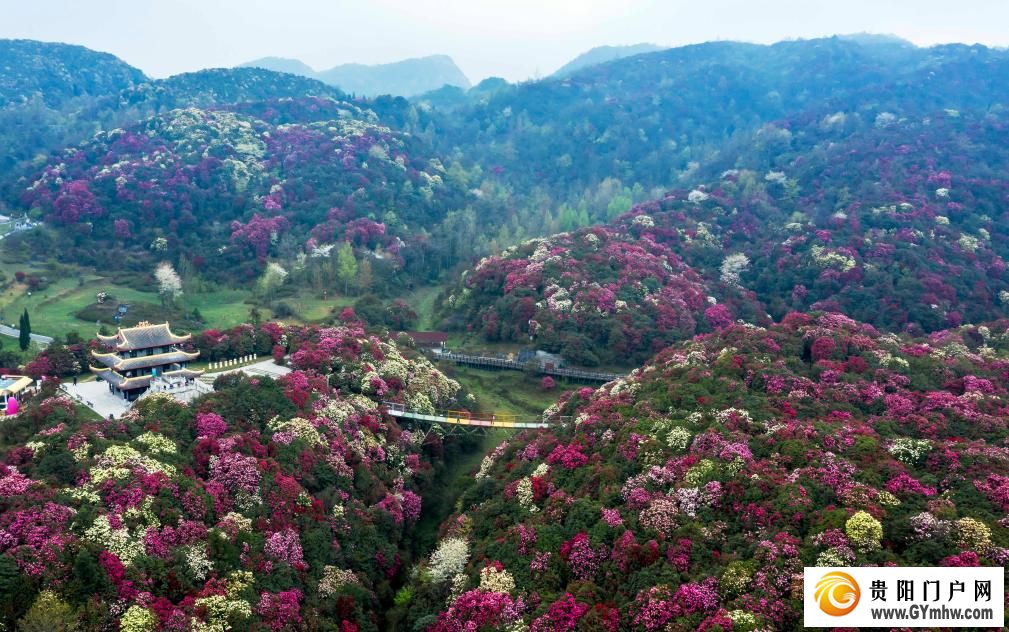快出发！这些地方陆续美成仙境！(图7)