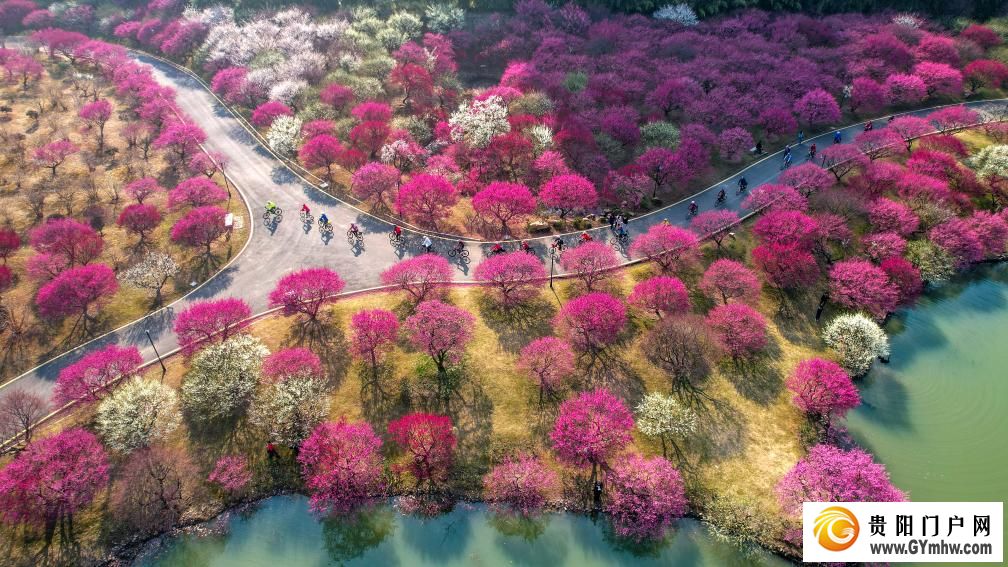 快出发！这些地方陆续美成仙境！(图21)