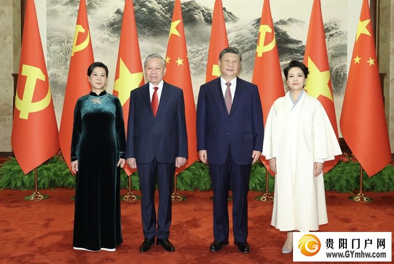 习近平同越共中央总书记、国家主席苏林举行会谈(图1)