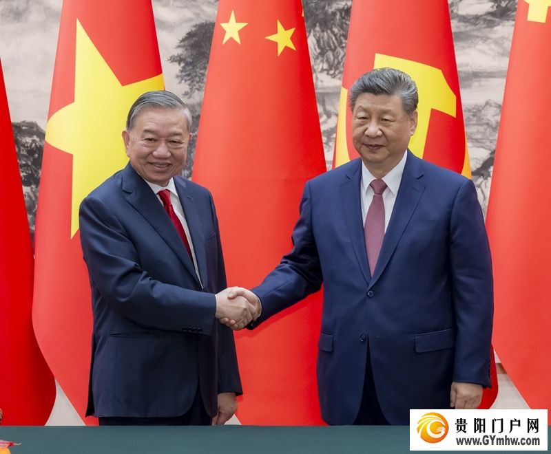 习近平同越共中央总书记、国家主席苏林举行会谈(图3)