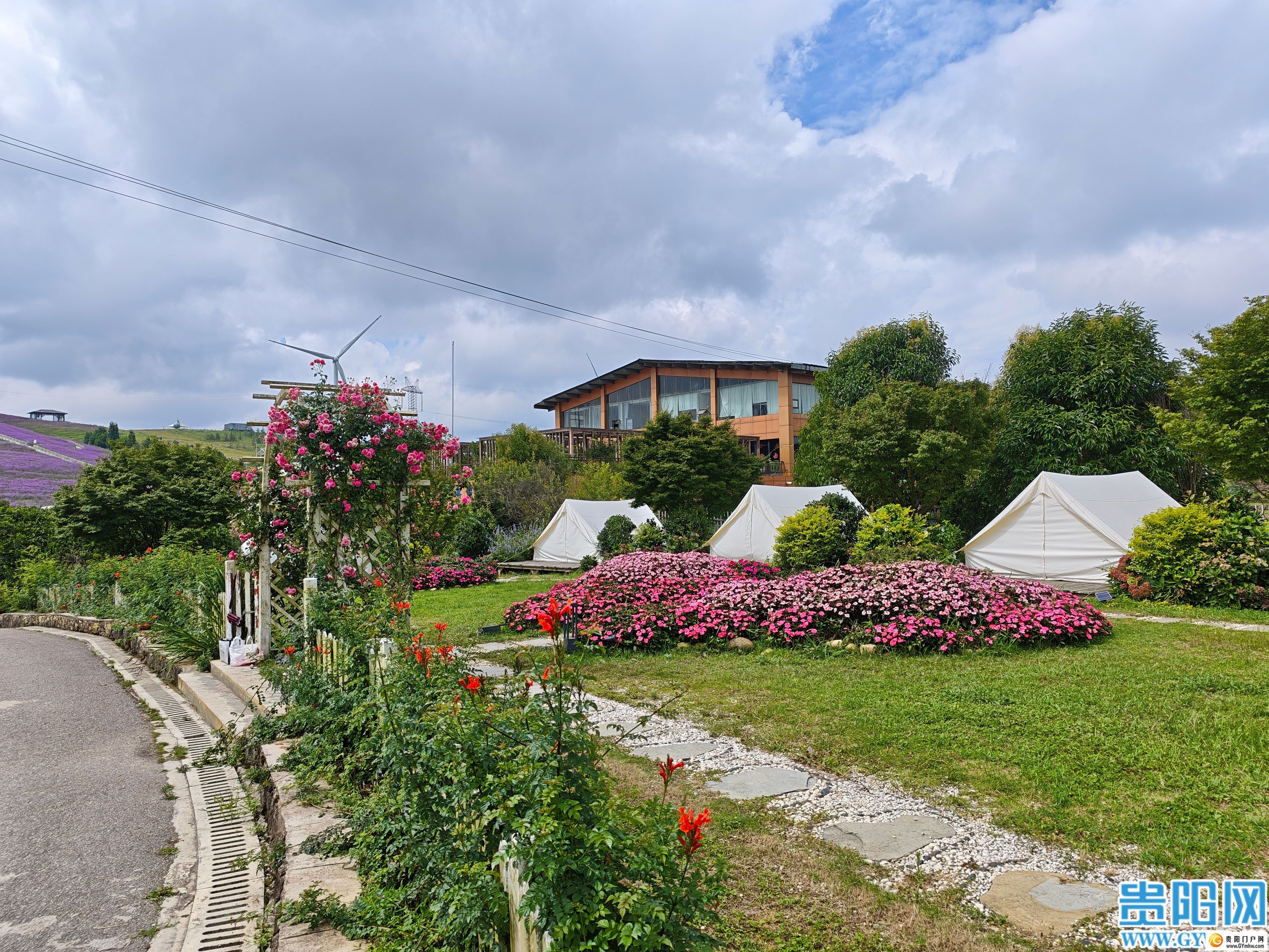 花溪区高坡乡打造云顶花海吸引游客避暑赏花(图3) 花溪区高坡乡打造云顶花海吸引游客避暑赏花(图3)