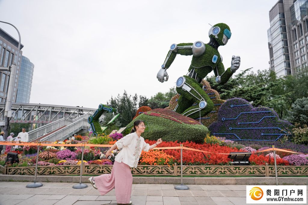 走近北京的国庆花坛(图5)