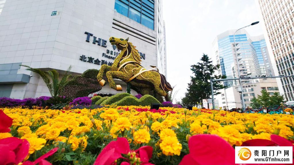 走近北京的国庆花坛(图25)