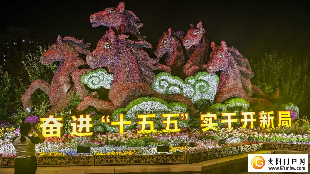 走近北京的国庆花坛(图20)