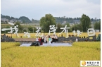 “运动潮”里话丰年，听取“哇”声一片